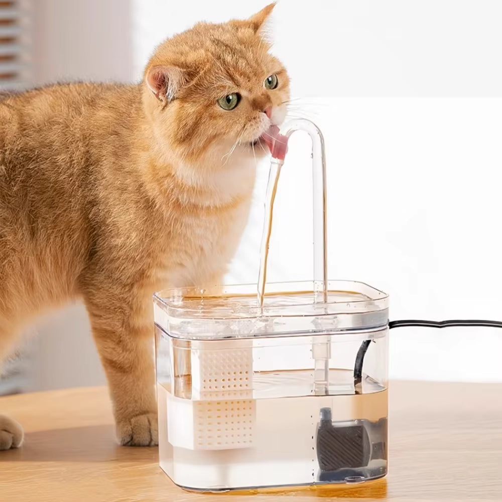 Transparent cat drinking fountain automatic circulating live water drinking basin dog smart drinking fountain pet supplies