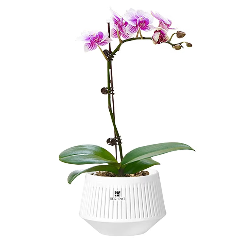 Meshpot Orchid Pots With Holes Flower Pot For Repotting Plastic Planter Indoor-Outdoor Plants Home Decorative Air Plant Pot