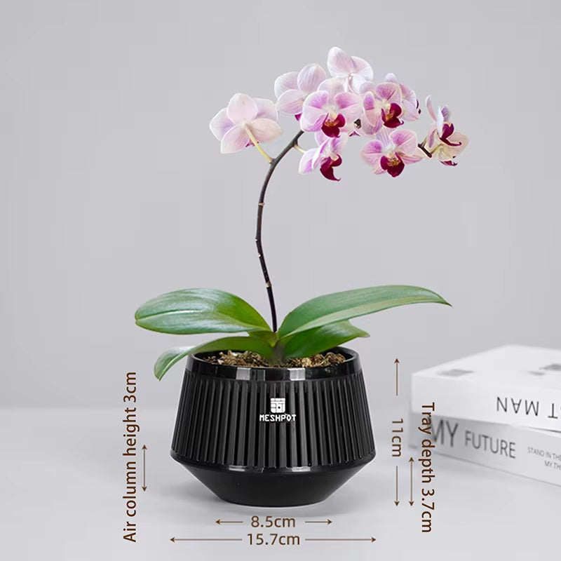 Meshpot Orchid Pots With Holes Flower Pot For Repotting Plastic Planter Indoor-Outdoor Plants Home Decorative Air Plant Pot